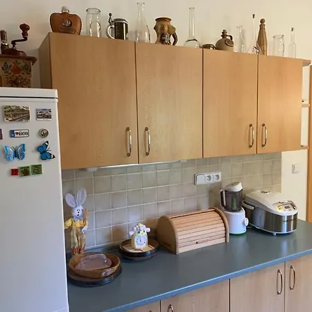 빌라 Garden With Pool Access 카를로비바리