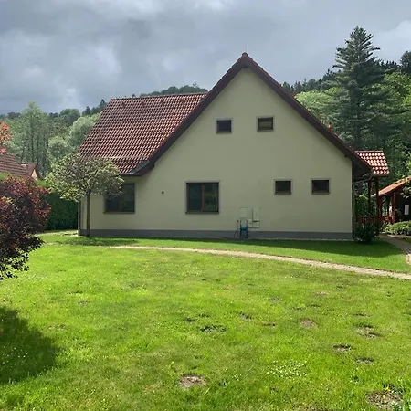 Garden With Pool Access Vila Karlovy Vary