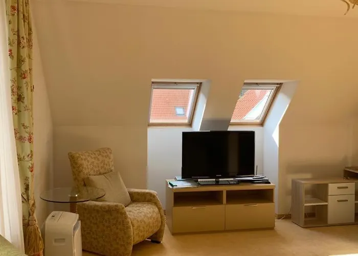 Villa Garden With Pool Access Karlovy Vary